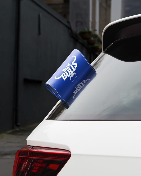 Car Tags Blue Bulls Tag Your Car BG