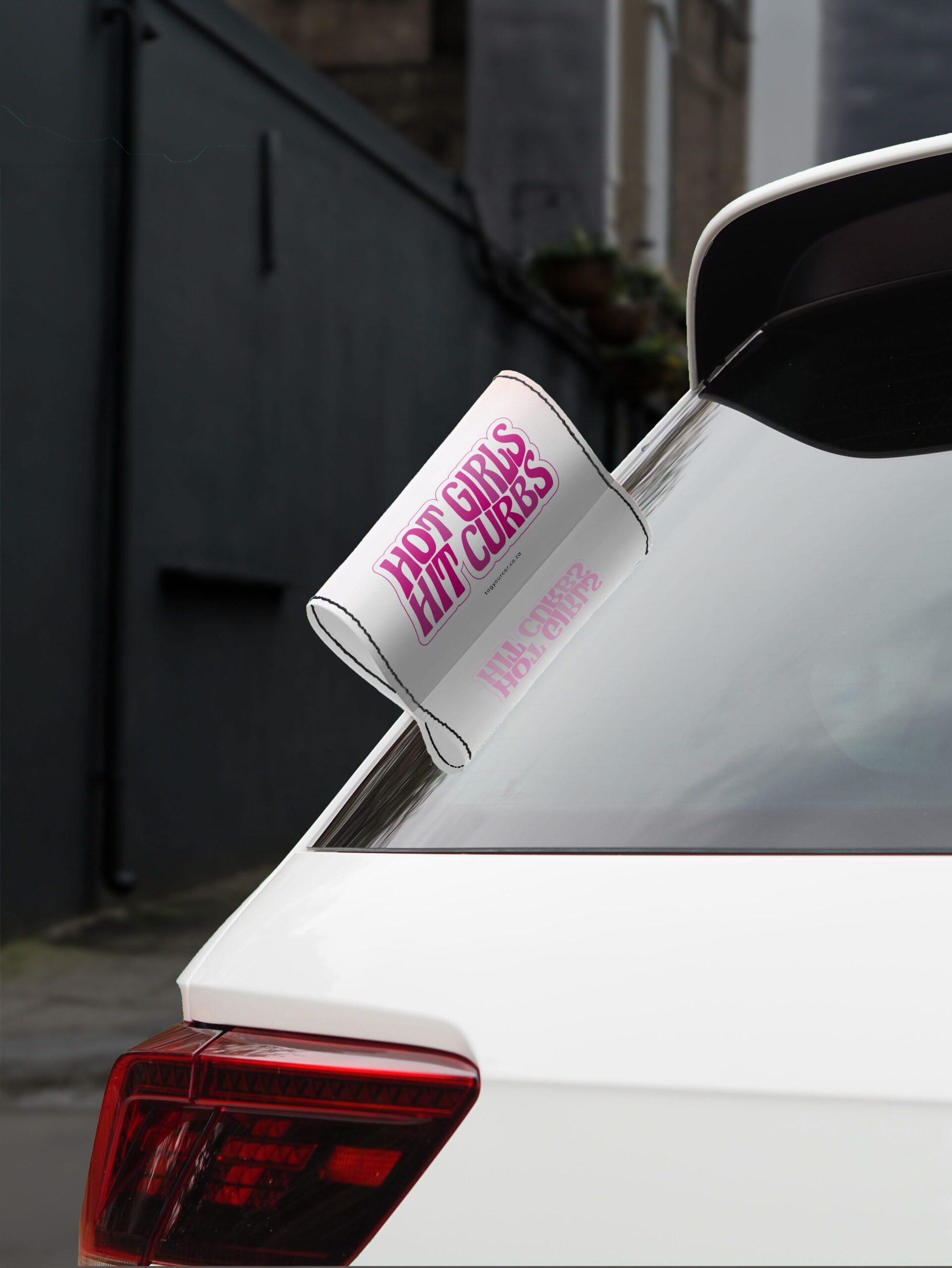 Car Tags Hot Girls Hit Curbs Tag Your Car BG