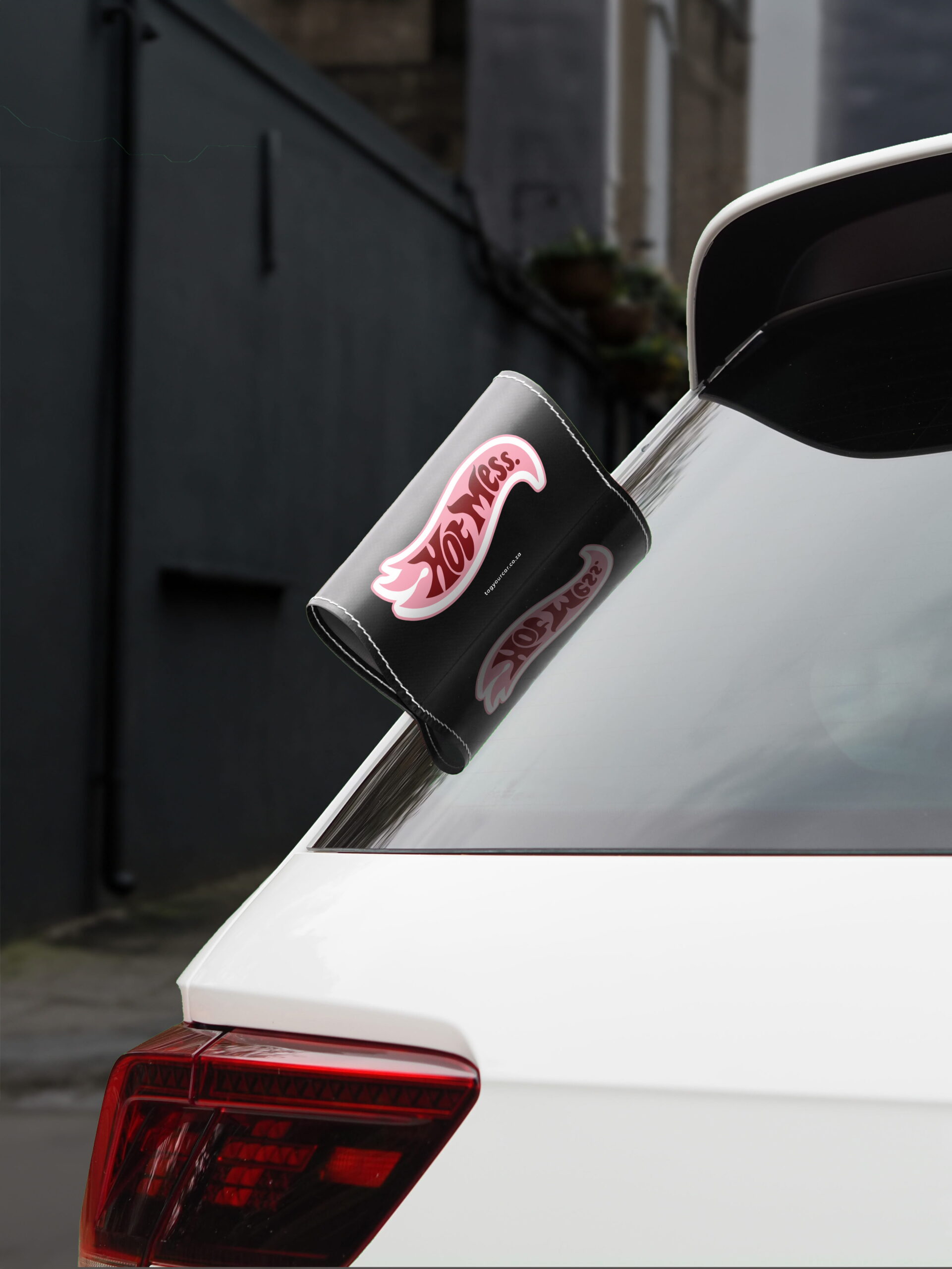 Car Tags Hot Mess Tag Your Car BG